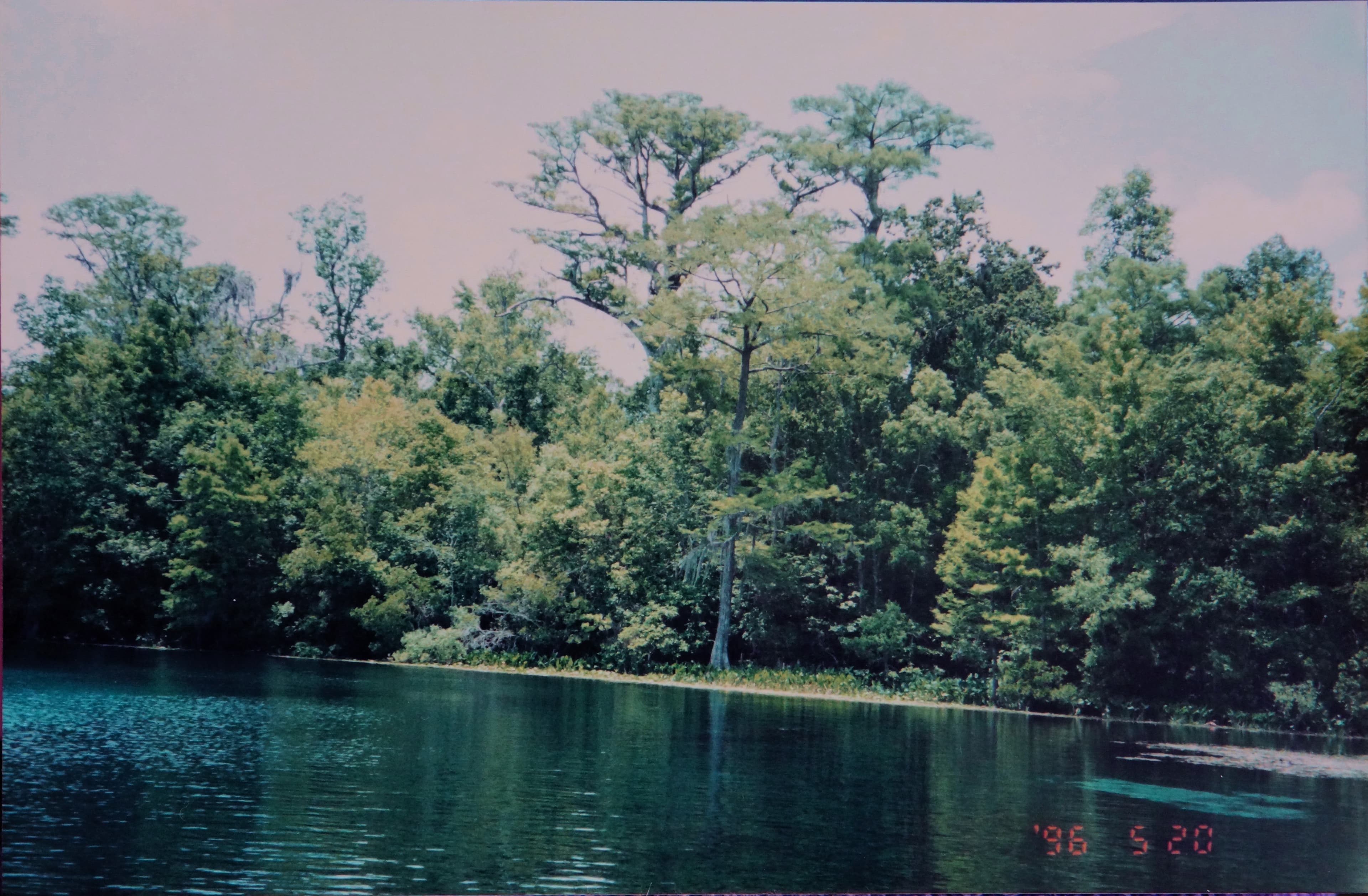 大沼澤国家公园 - Everglades National Park