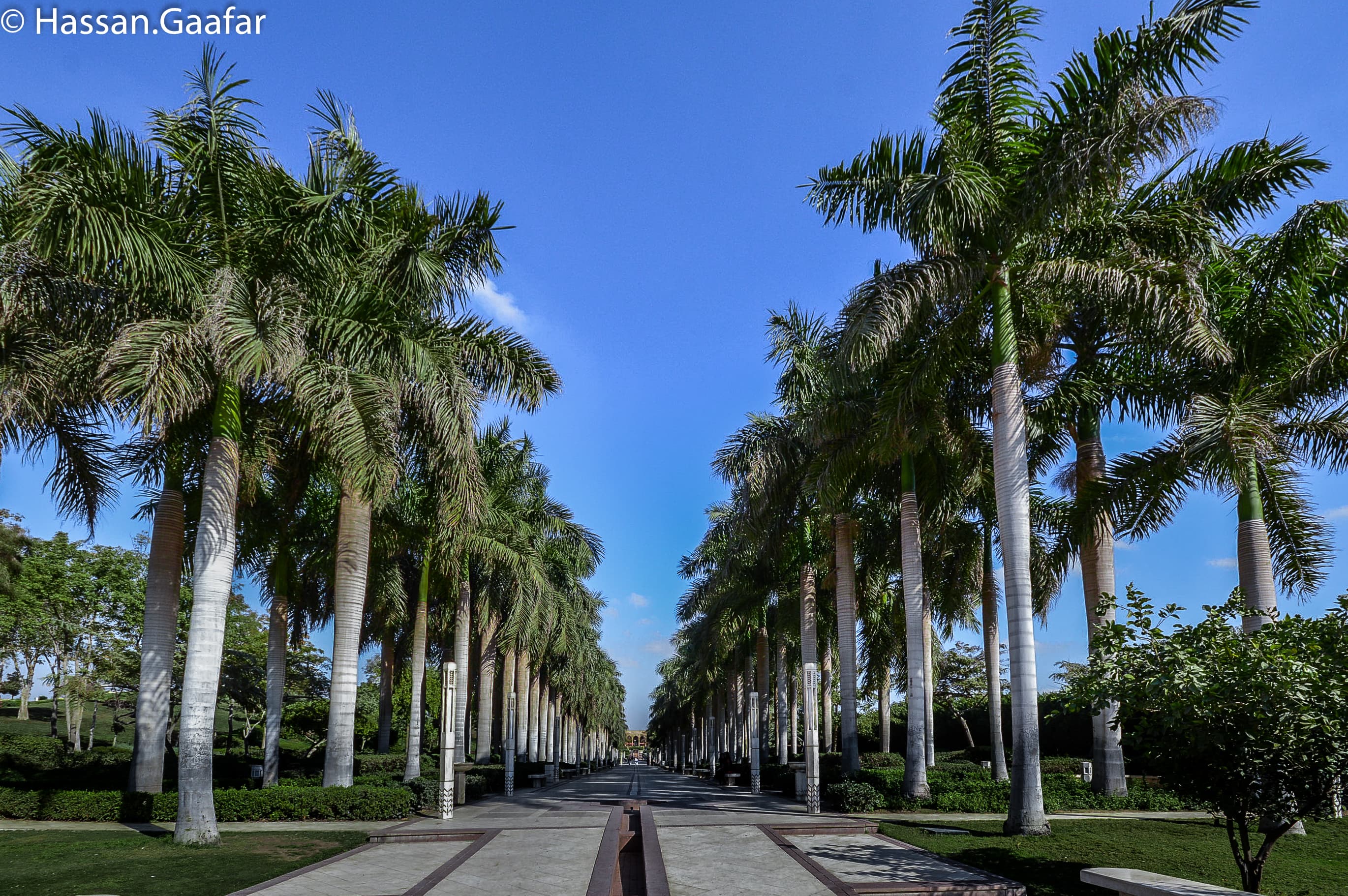 Azhar Park