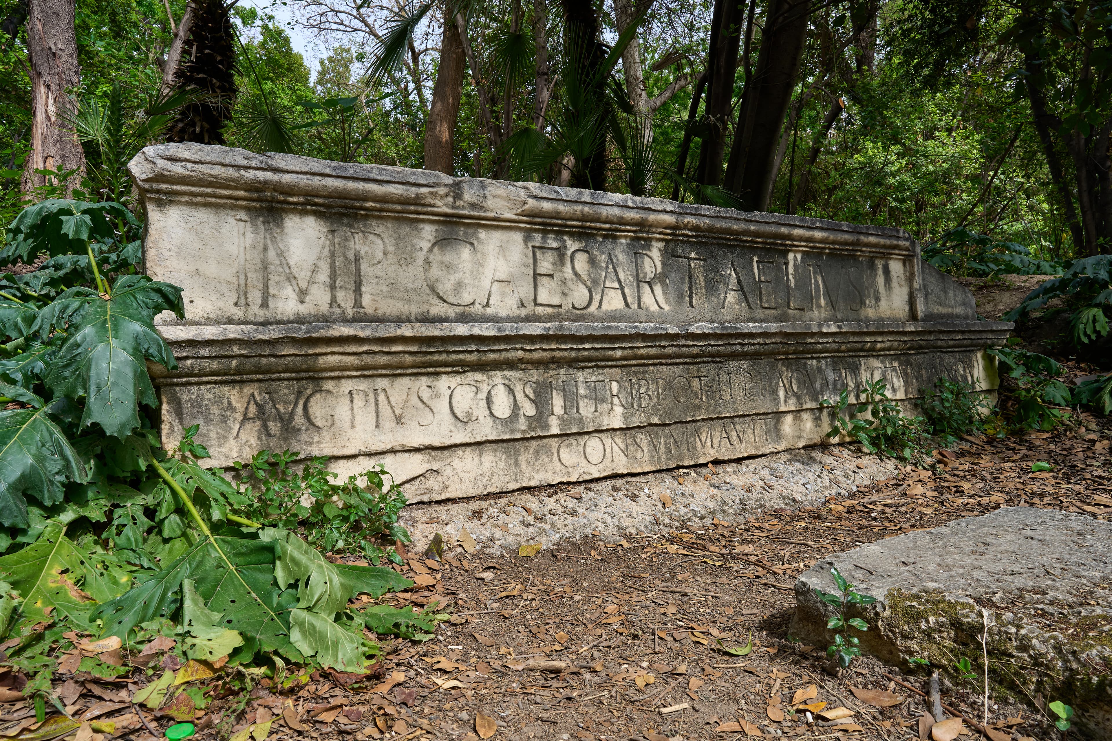 Dedicatory inscription from the architrave of the Reservoir of Hadrian in Athens, located on the slope of Mount Lycabettus (Dexameni Square, Kolonaki). It is currently at the National Garden of Athens, opposite the Children's Library. The inscription reads: "Imp(erator) Caesar T. Aelius Hadrianus Antoninus Aug(ustus) Pius, co(n)s(ul) III, trib(unicia) pot(estate) II(!), p(ater) p(atriae) aquaeductum in novis Athenis coeptum a divo Hadriano patre suo consummavit dedicavitque." (CIL III 549)
