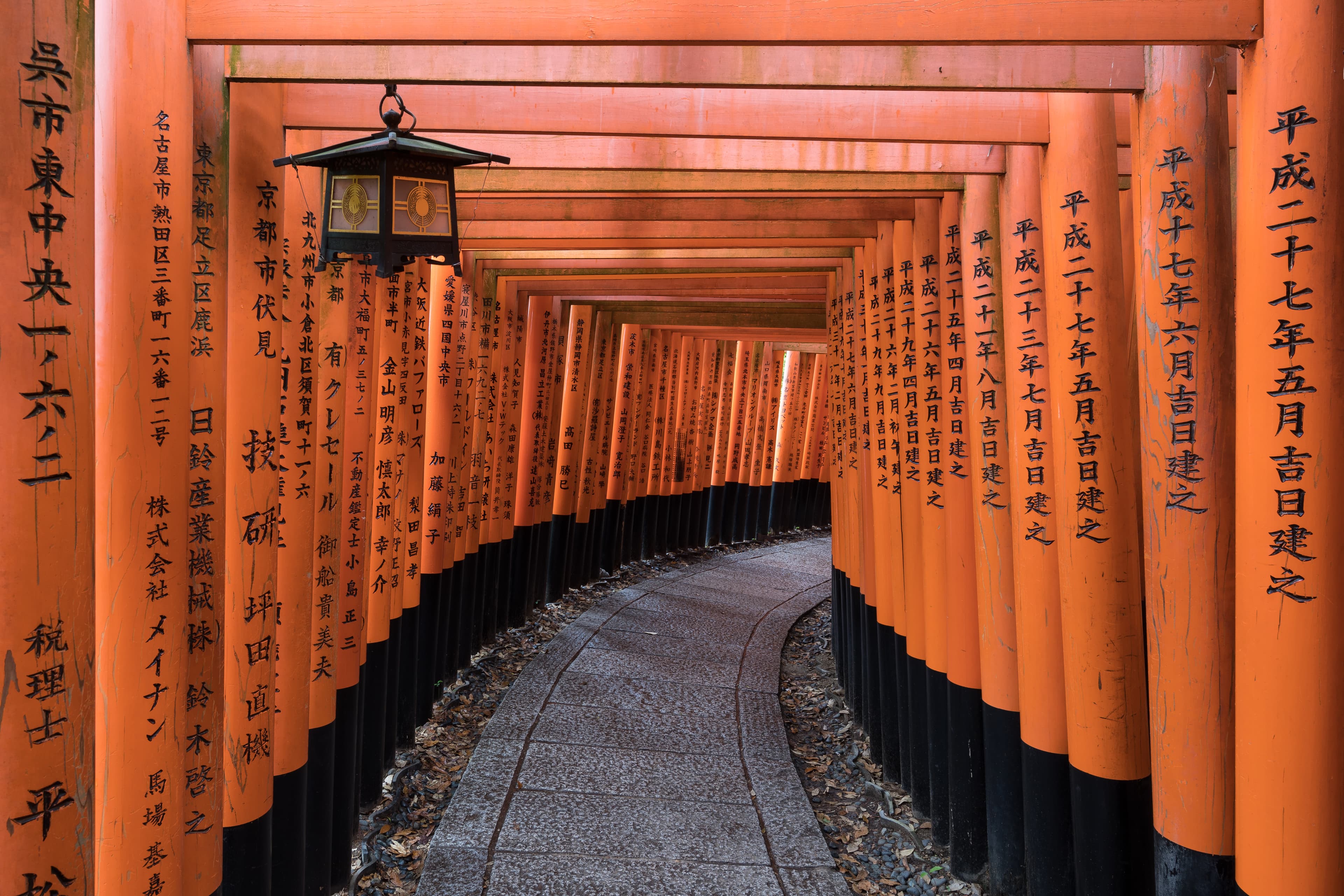 Exploring the Timeless Beauty of Kyoto, Japan