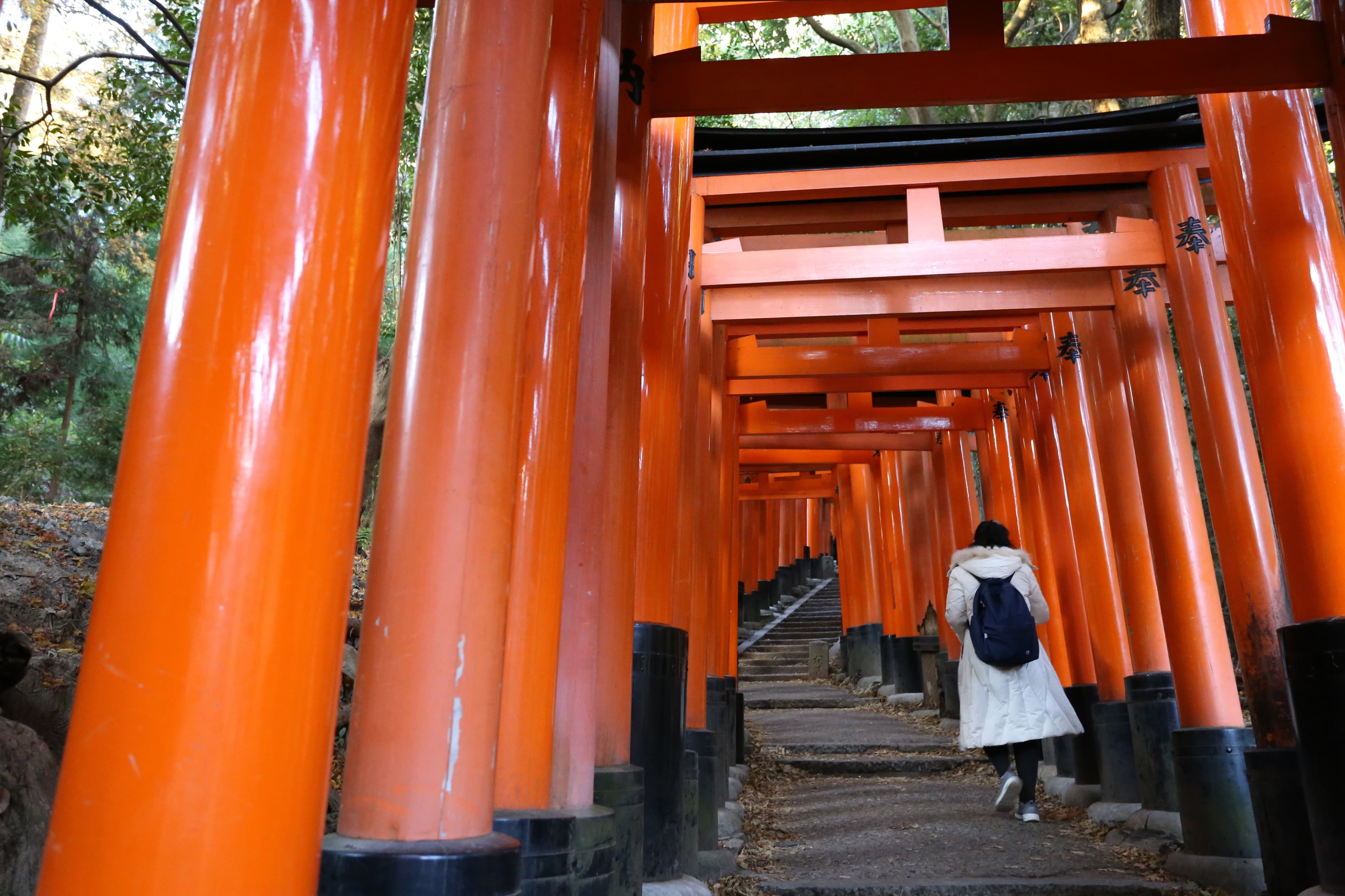 Fushimi Inari Taisha (伏見稲荷大社)