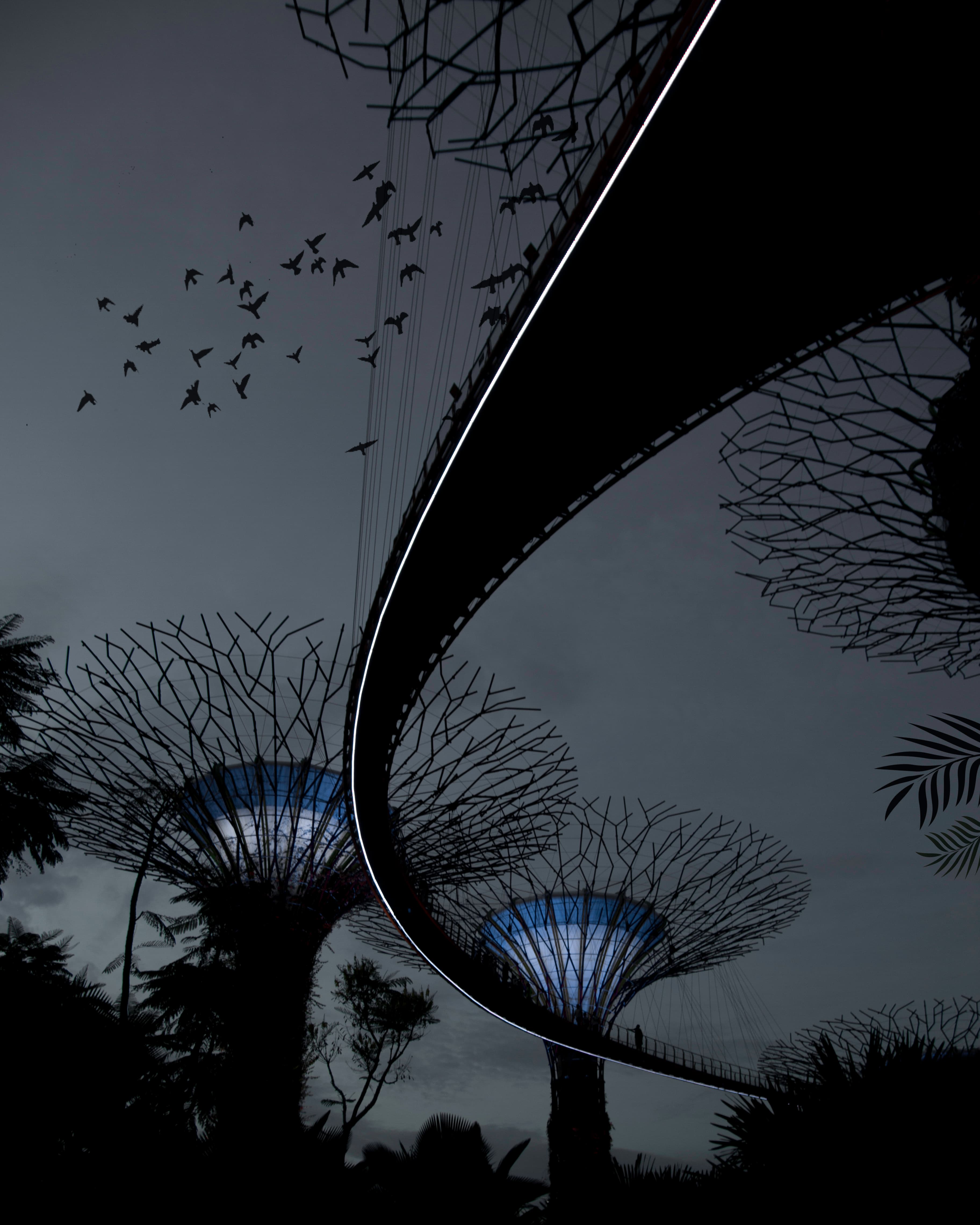 Gardens by the Bay, Singapore