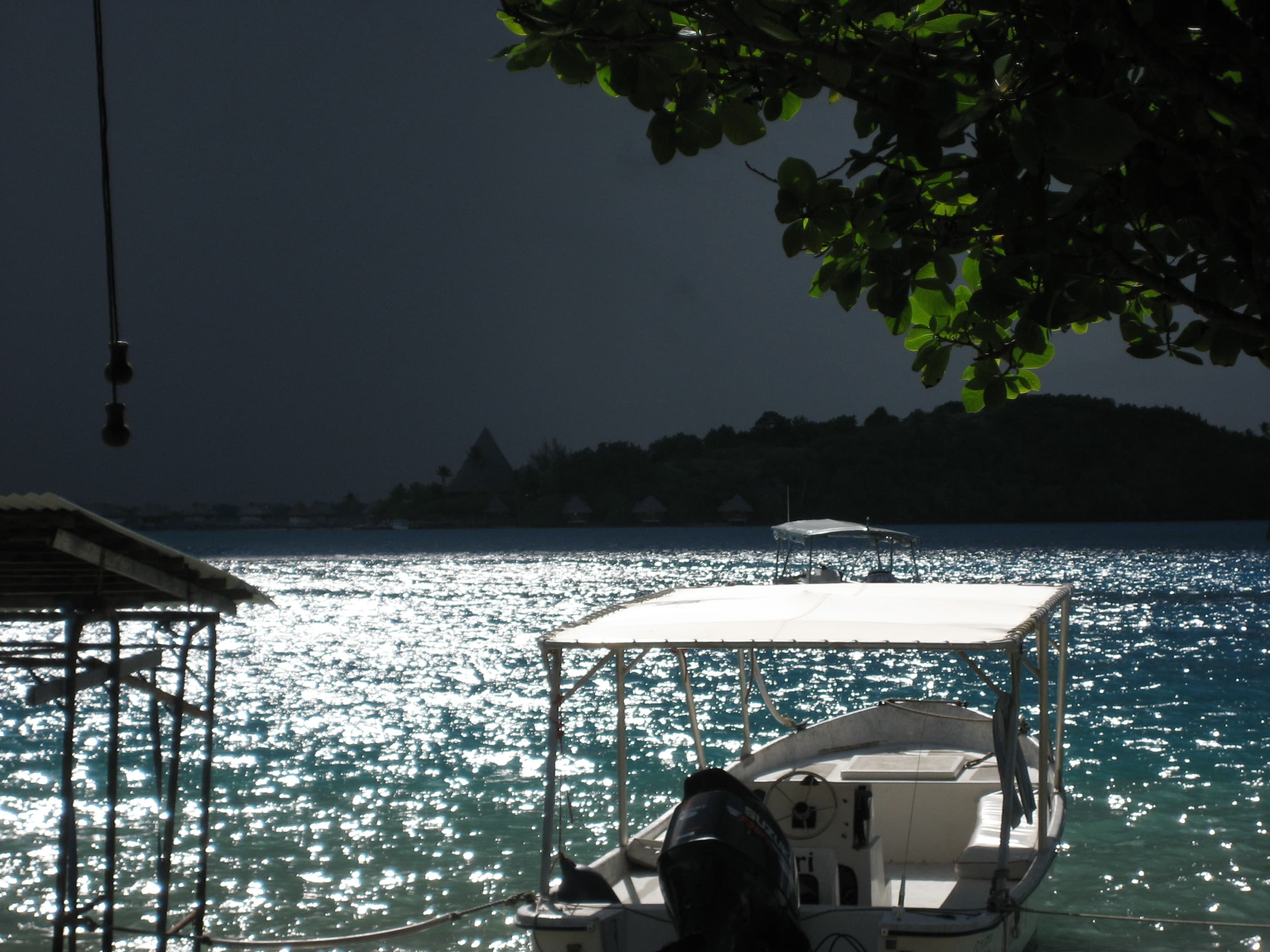 Sunlight on the water.