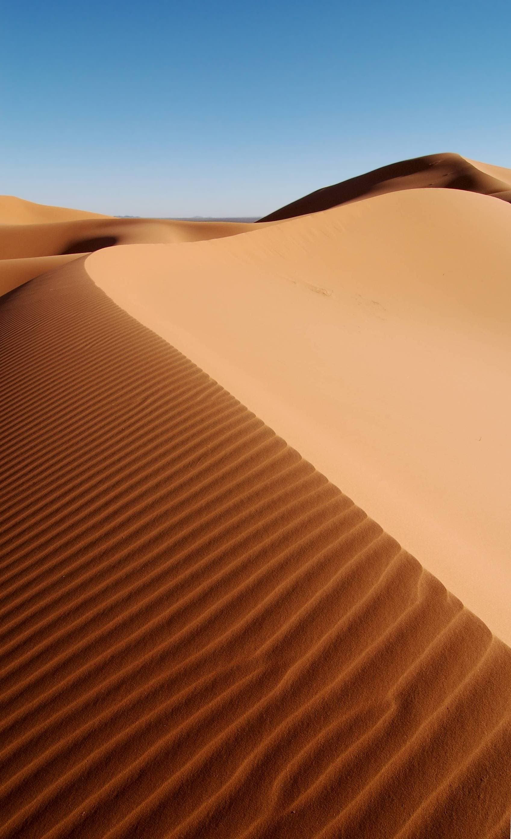 Exploring the Enchanting Kingdom of Morocco: A Traveler's Guide