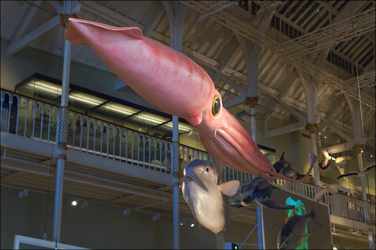 Edinburgh Museums and Art Galleries