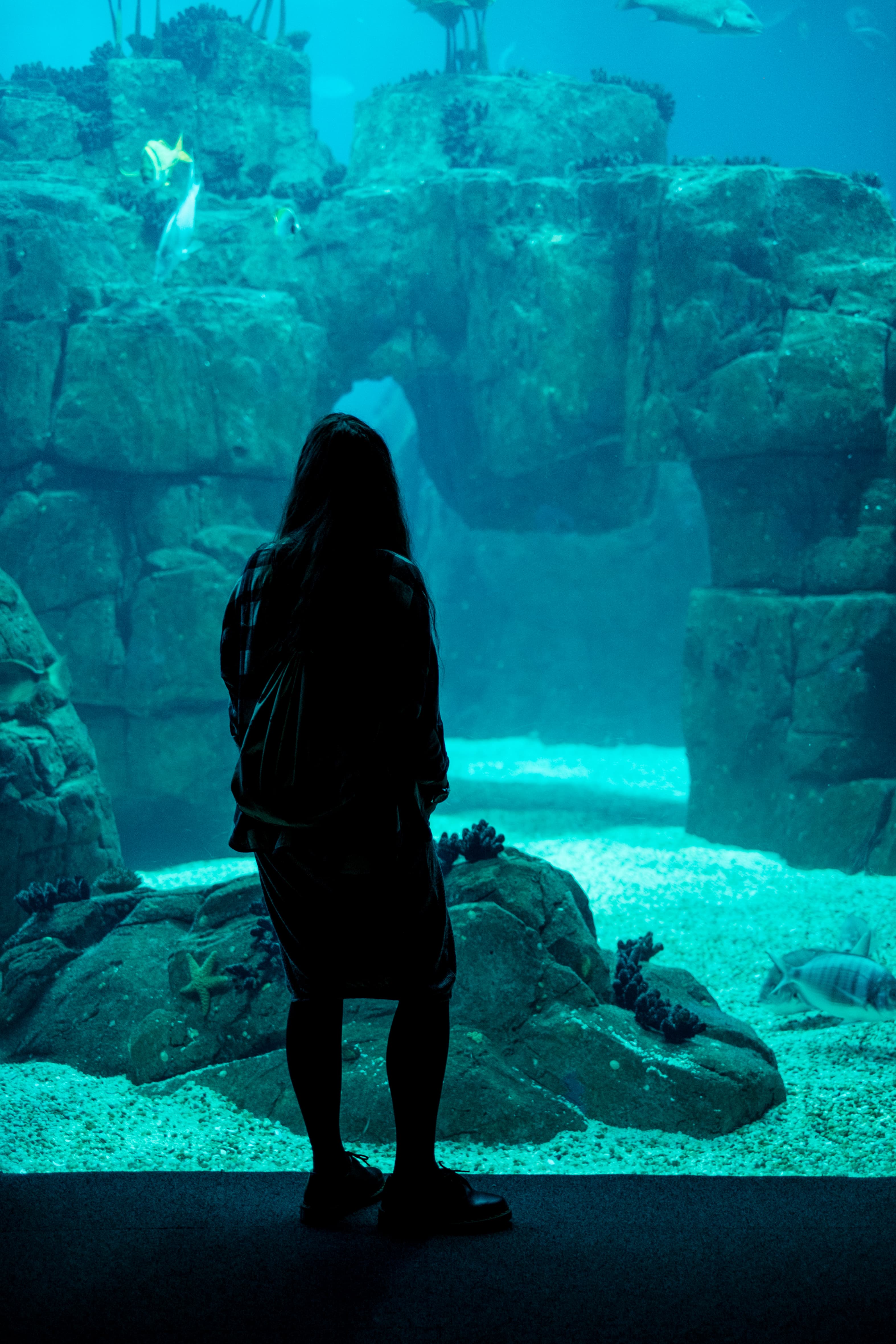Lisbon Oceanarium, Lisbon, Portugal