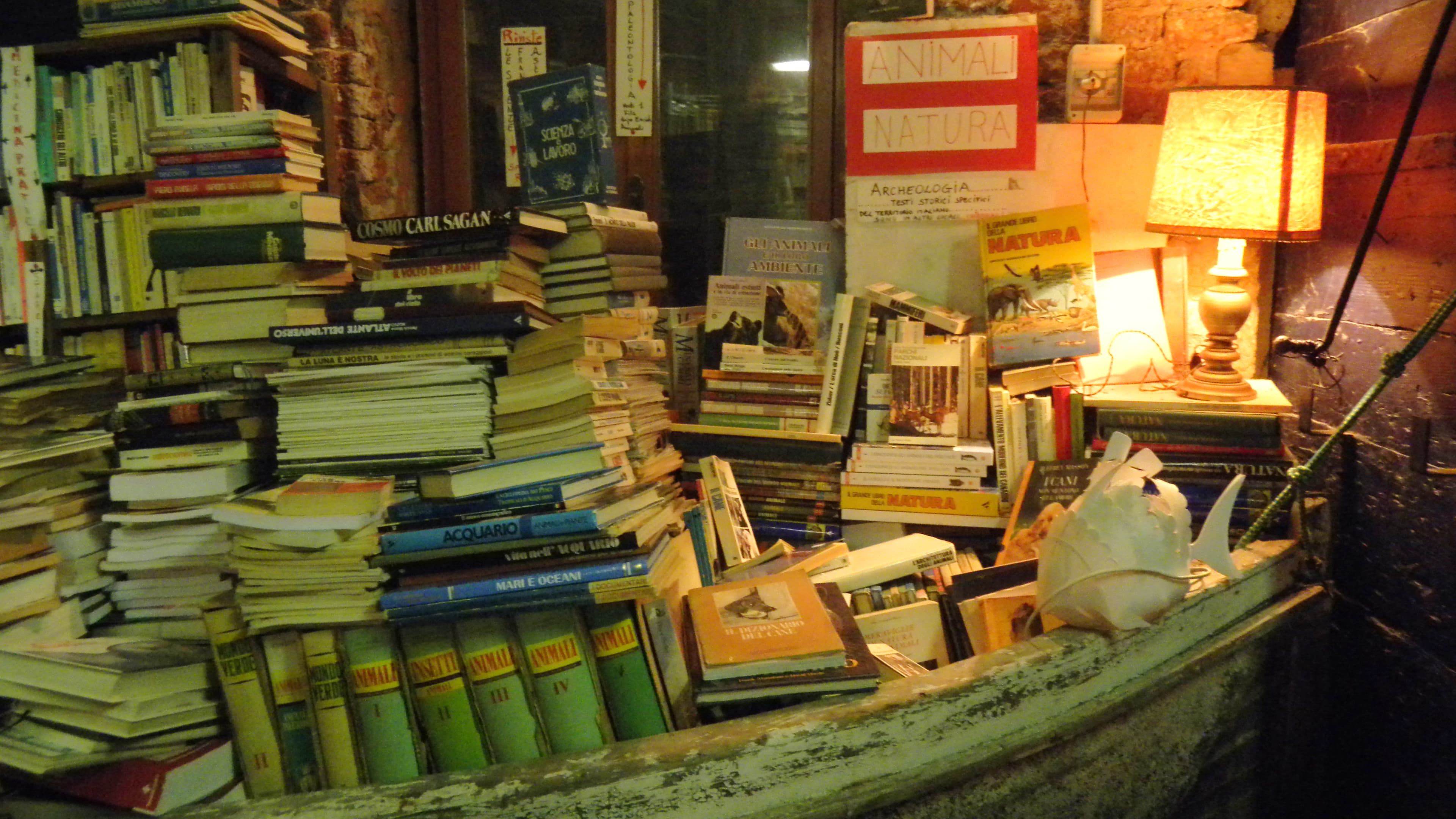 Books and gondola