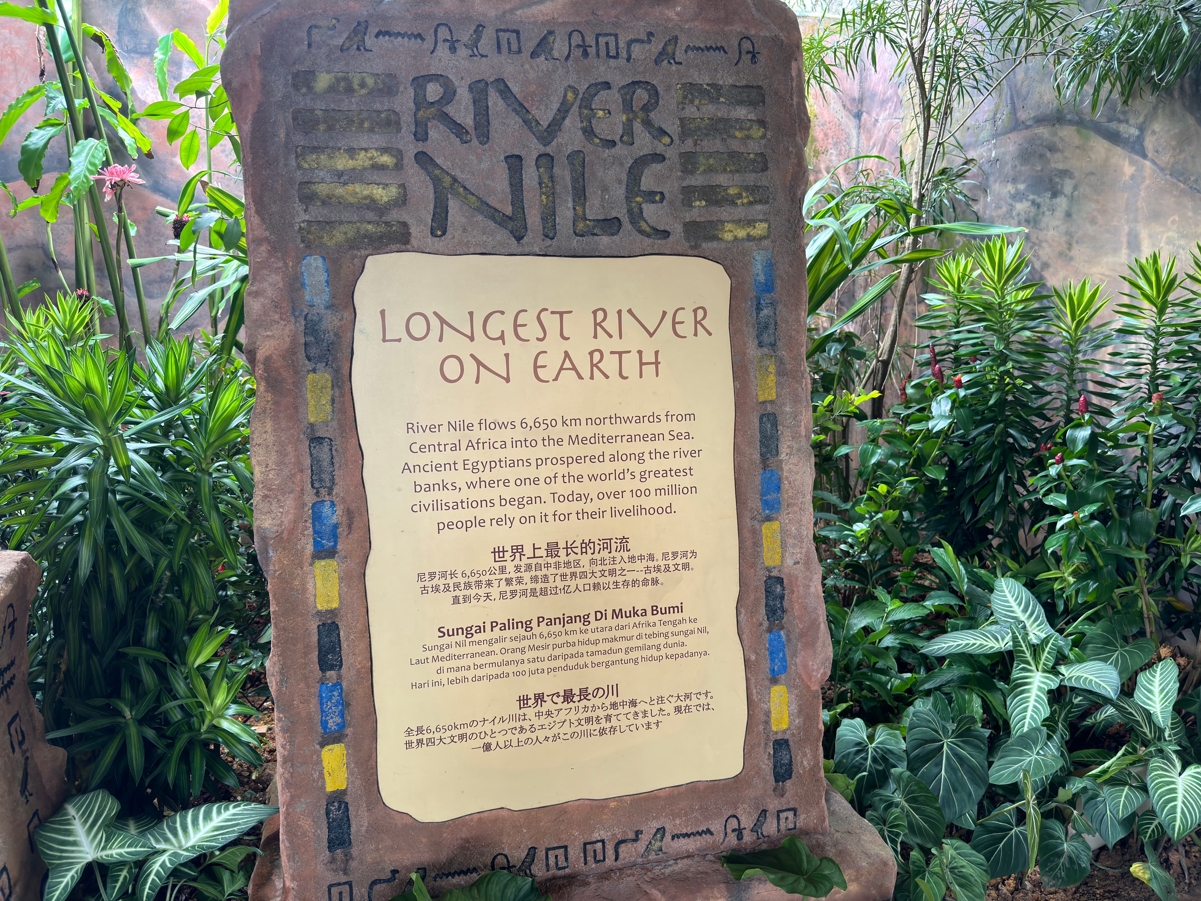 This photo was taken at the Singapore Zoo.