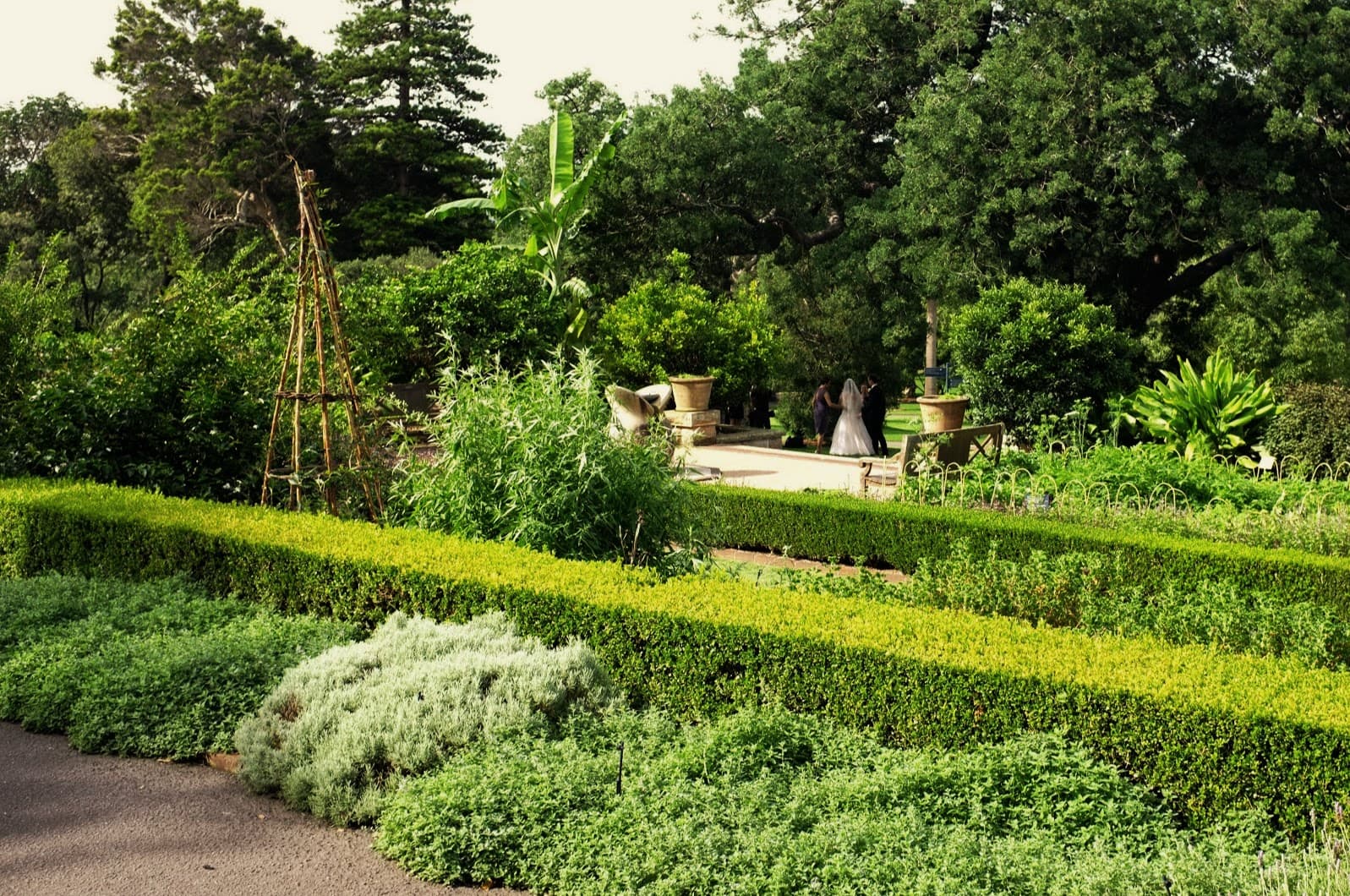 A bride pauses in the garden.