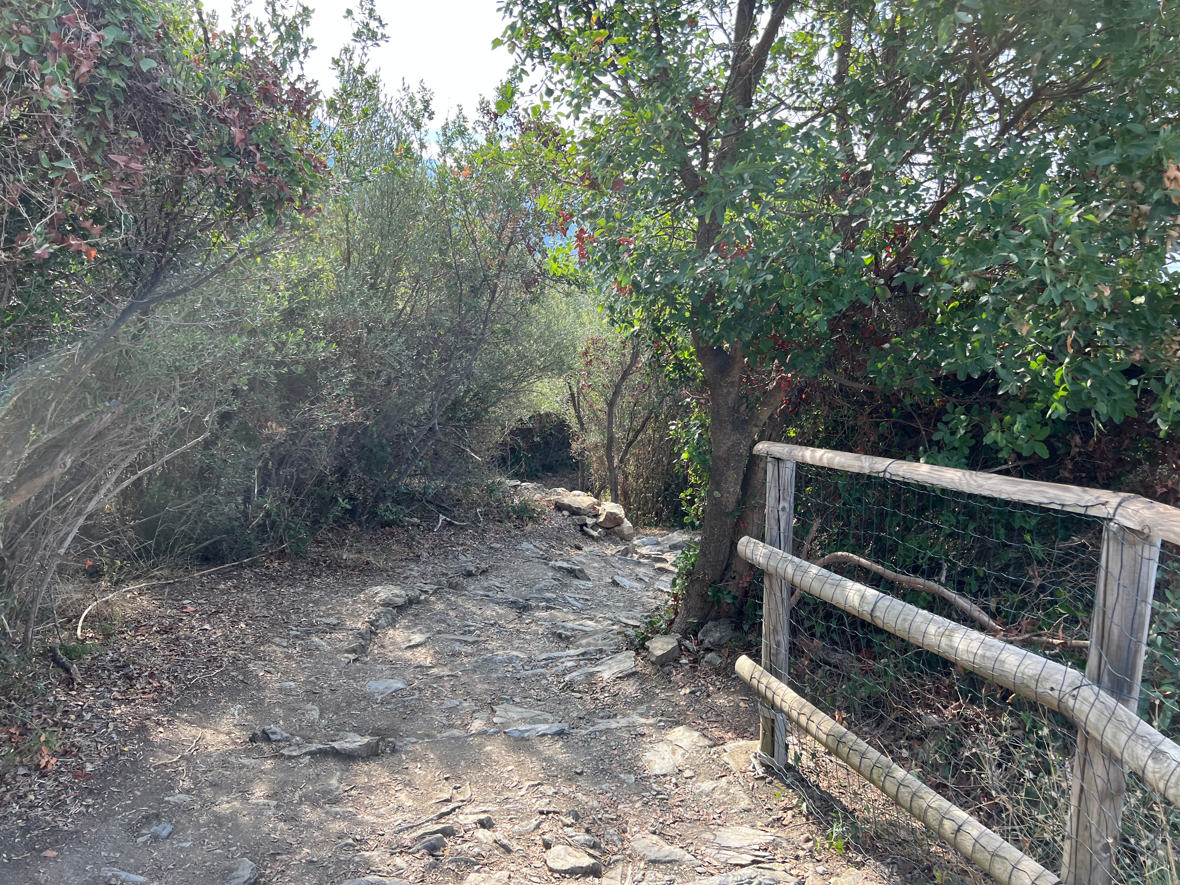 The connecting path from Corniglia to Vernazza, Vernazza.