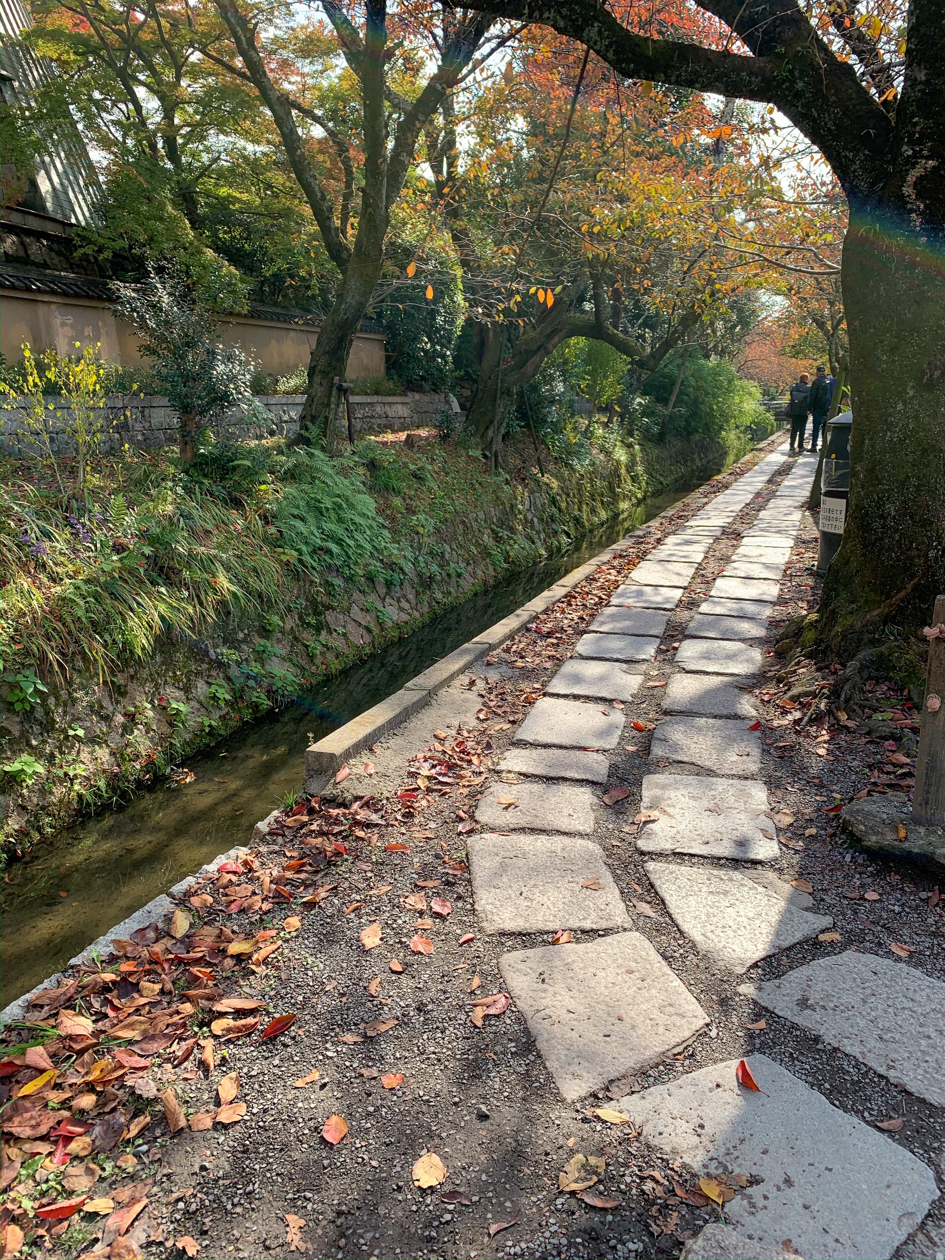 Philosopher's Walk, Kyoto