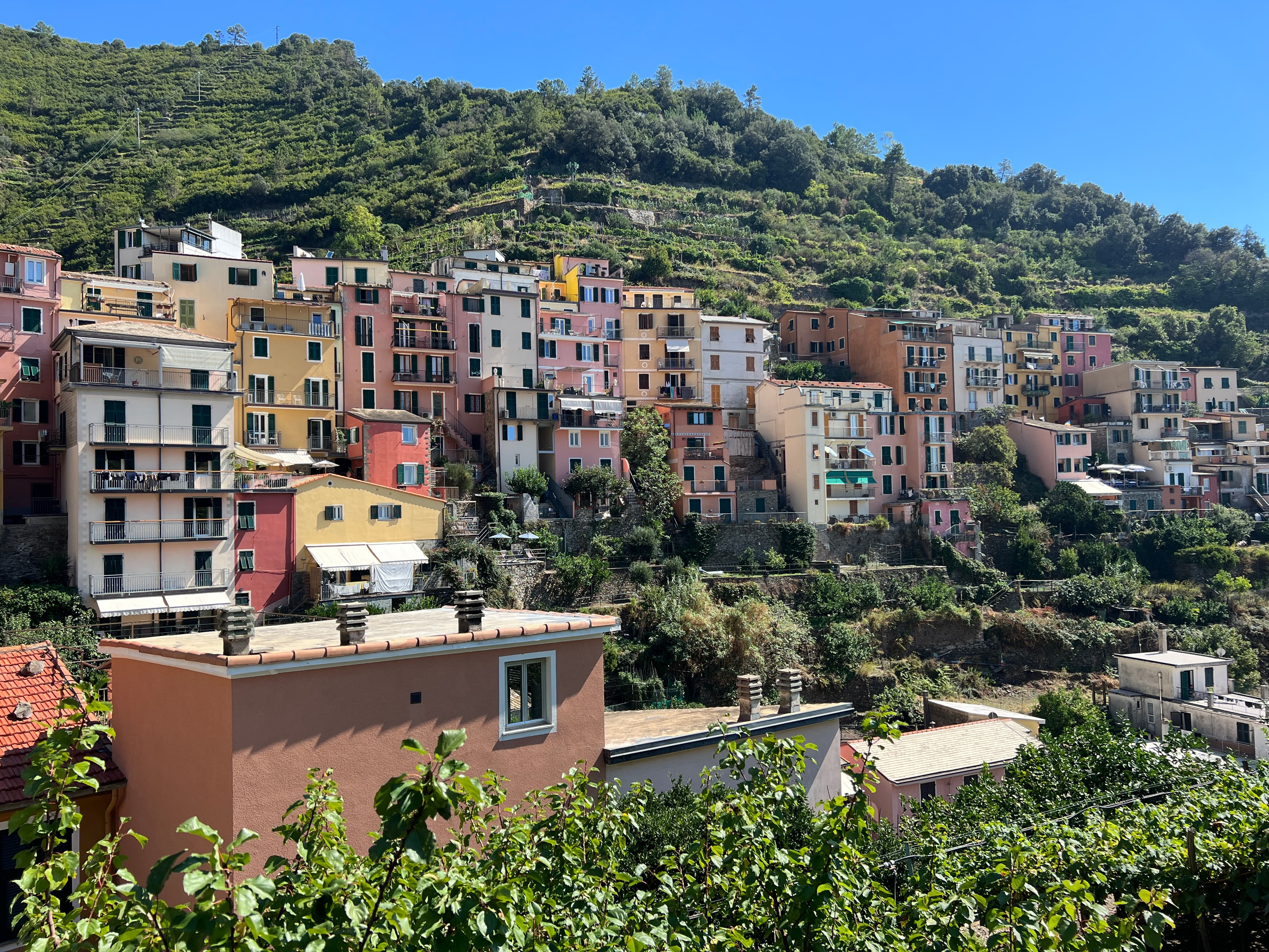 View of Manarola, Riomaggiore.