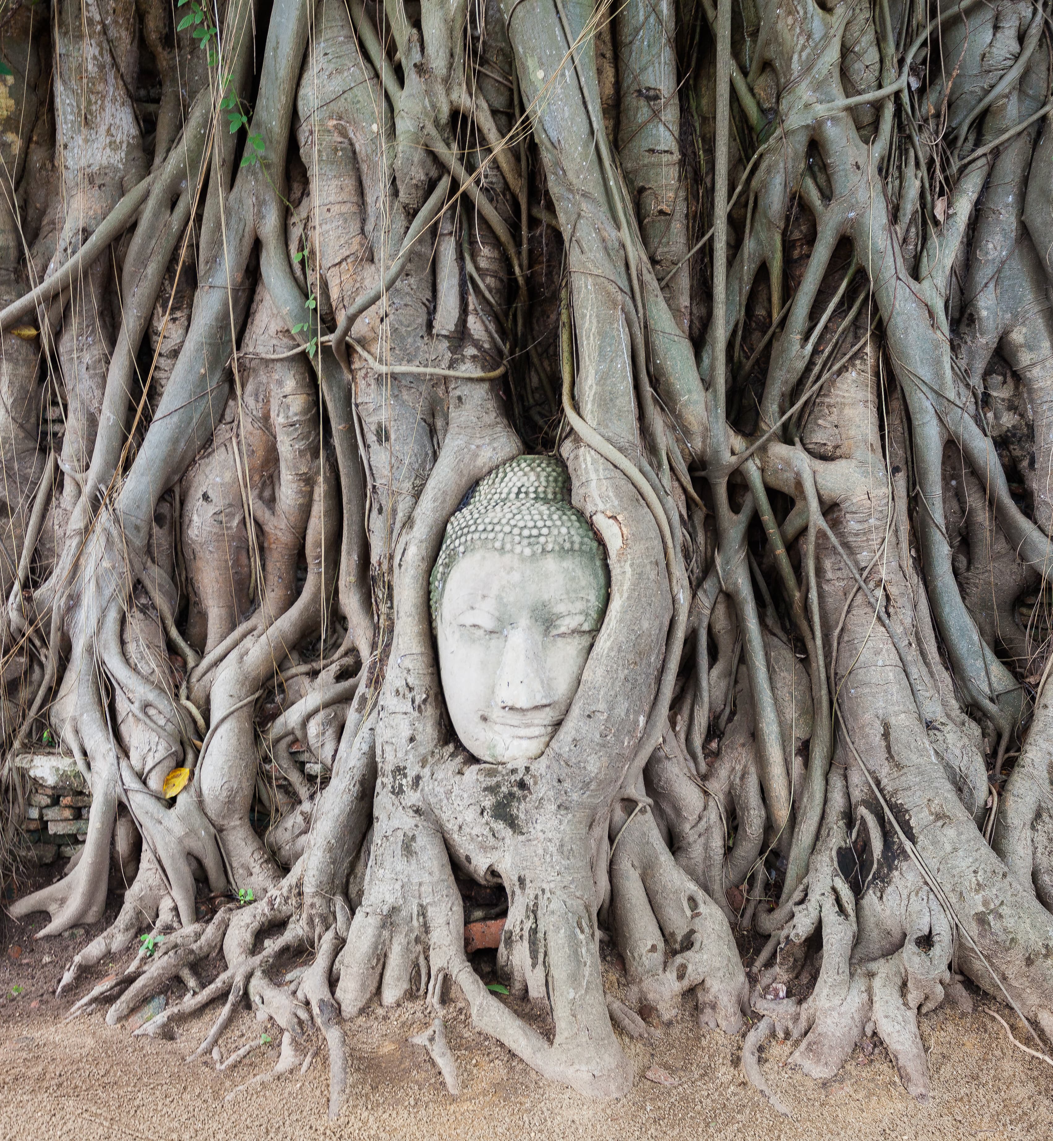 This is a photo of a monument in Thailand identified by its ID.