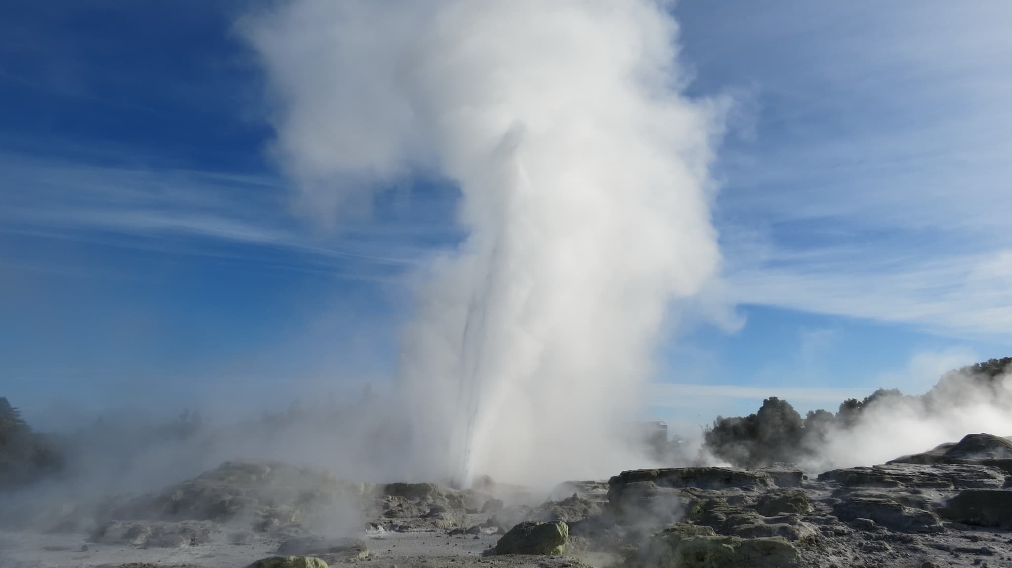 Te Puia, Rotorua