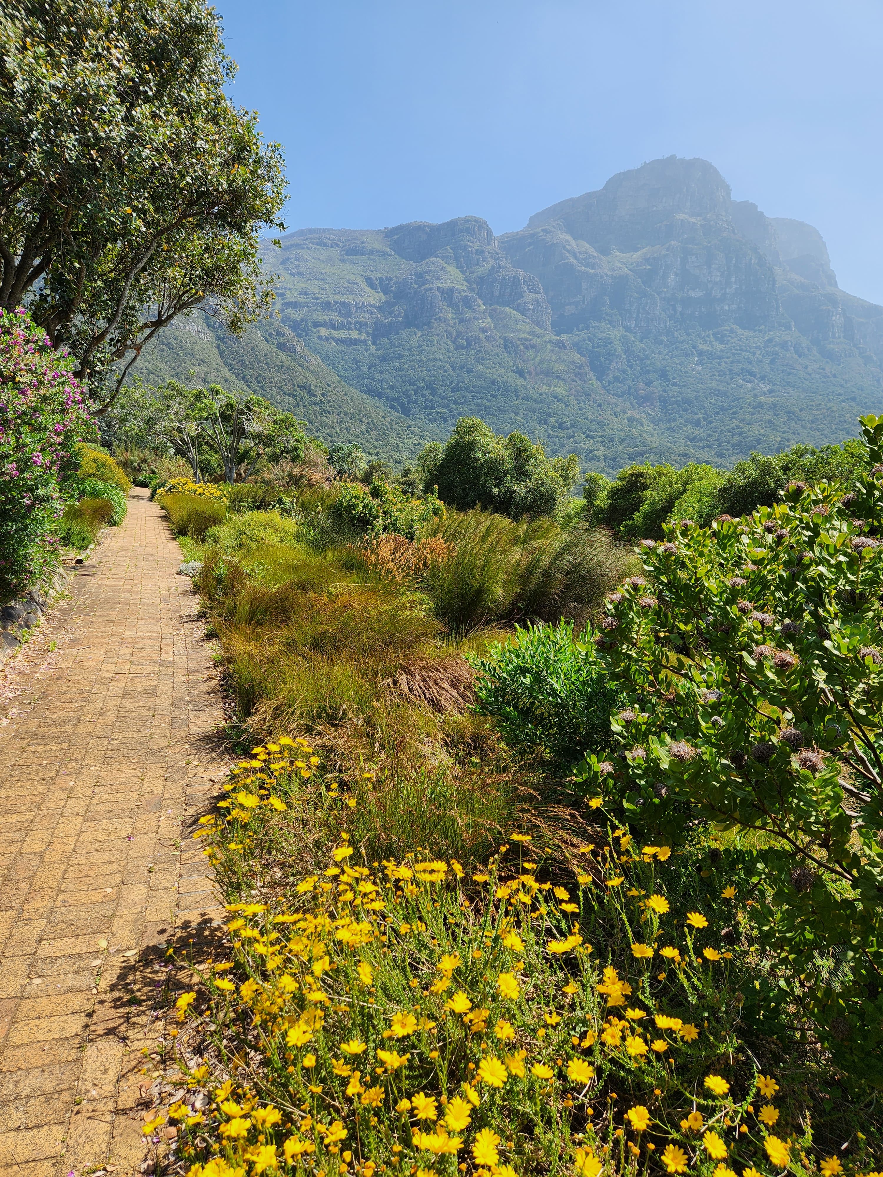 Kirstenbosch National Botanical Garden, 2024